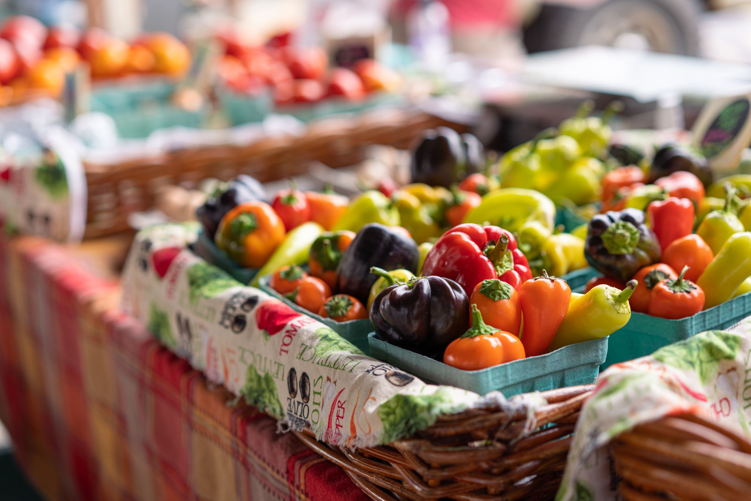 People enjoying the farmers market